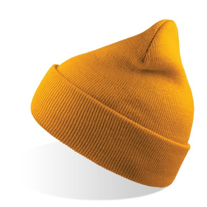 Atlantis - Wind Pipo