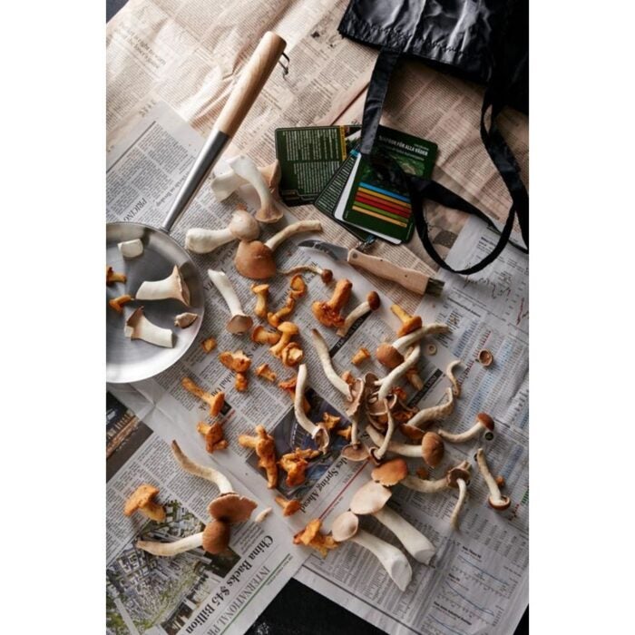 Vinga Eräpannu - Image 2