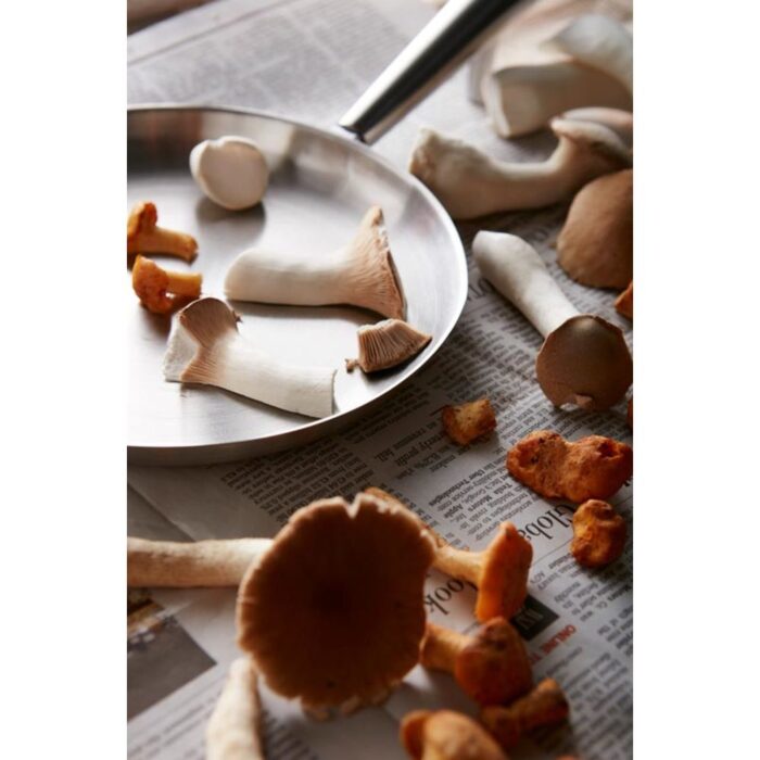 Vinga Eräpannu - Image 3