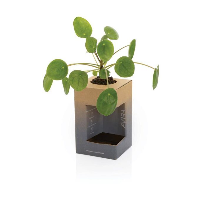 Avira Alya Re-Steel Termosmuki 300 ml - Image 8