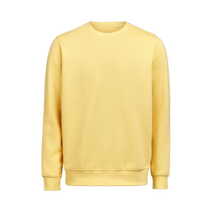 Untagged Movement Collegepaita Regular Fit - Image 13